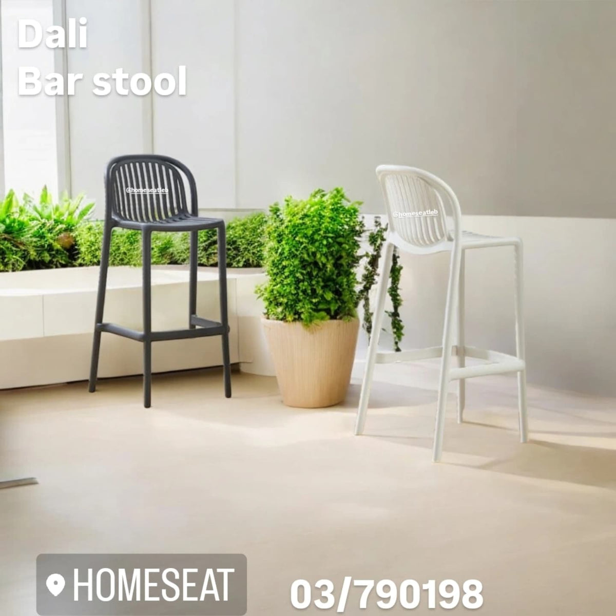 Dali bar stool